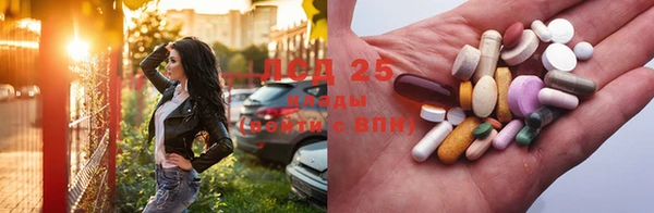 сатива Наволоки