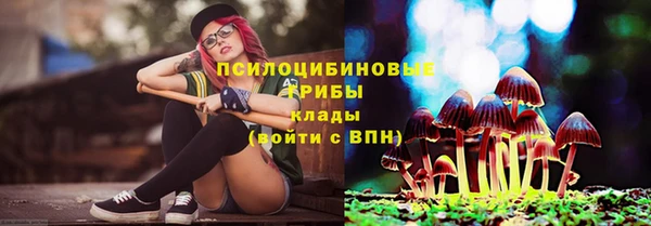 сатива Наволоки