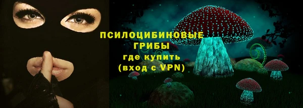 прущие крисы Каменка