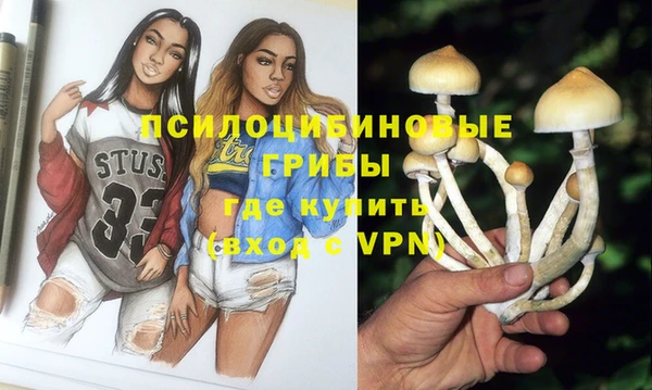 ECSTASY Надым