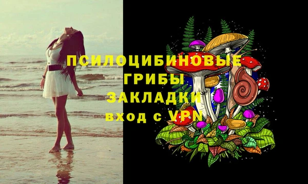 сатива Наволоки